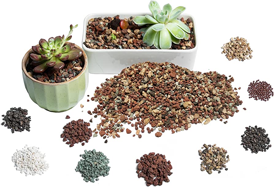 succulent Soil comparison