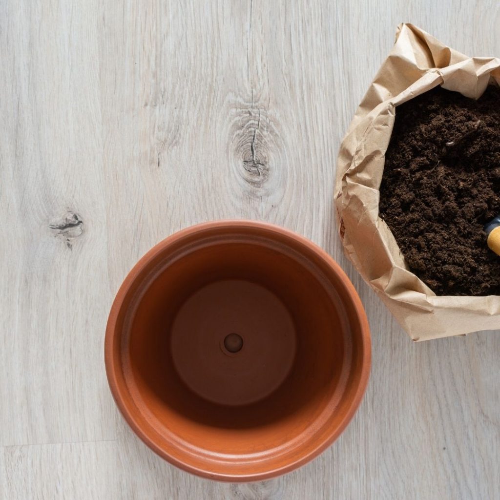 preparing succulent soil mix