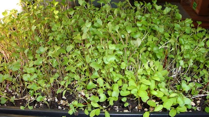 self sufficient garden