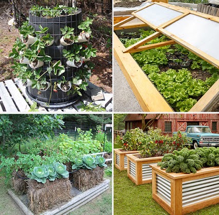 backyard self-sufficiency