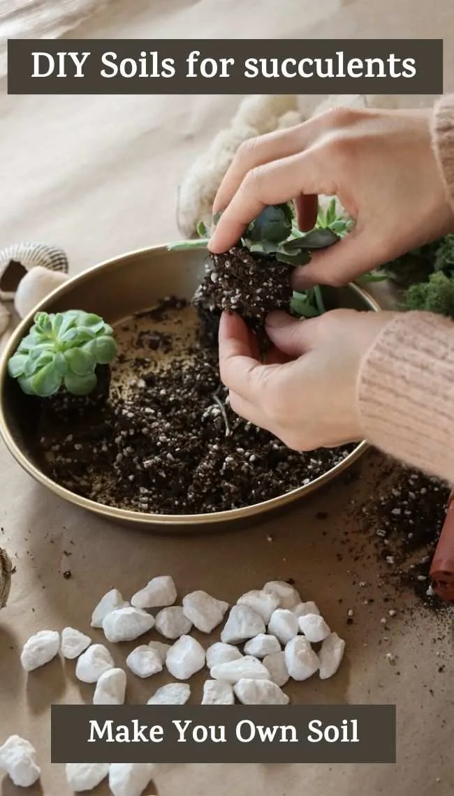 succulent soil mix ratio