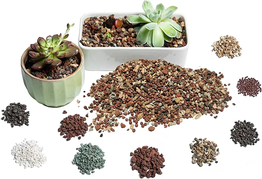 succulent Soil comparison