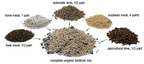 DIY succulent fertilizers