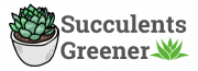 succulents greener logo